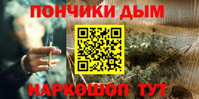 стафф Заводоуковск