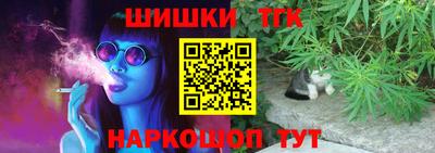 стафф Заводоуковск