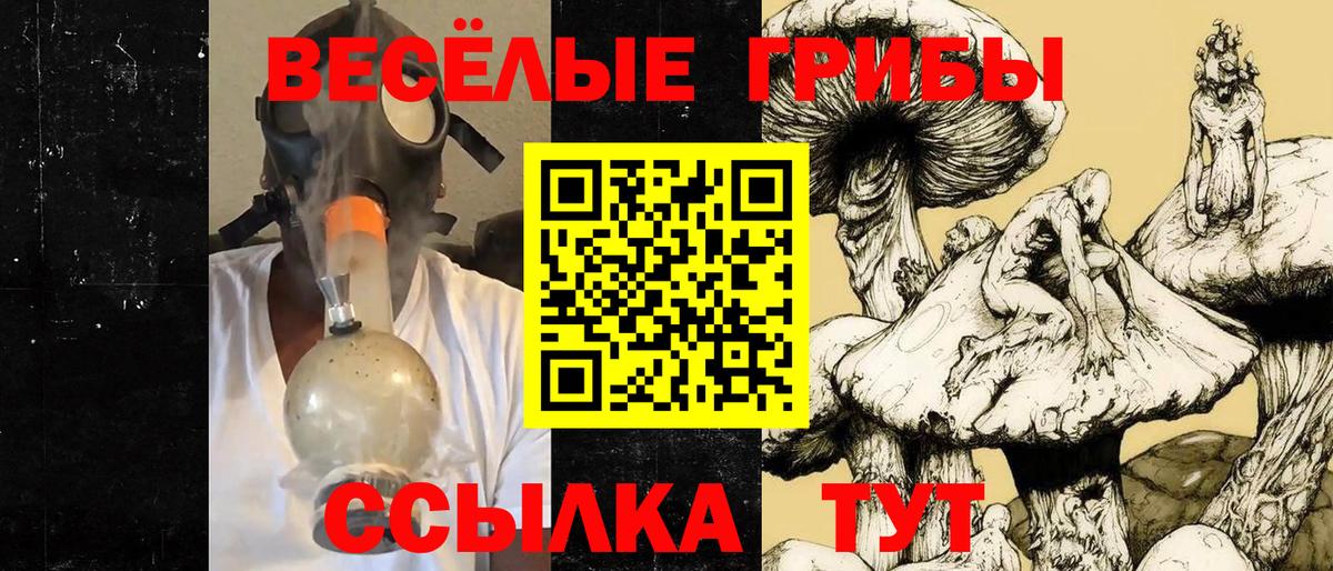 Псилоцибиновые грибы Psilocybine cubensis  Вход с VPN  Владивосток 